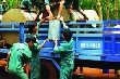 Lãnh đạo VRG tăng cường chỉ đạo, nắm bắt tình hình các đơn vị